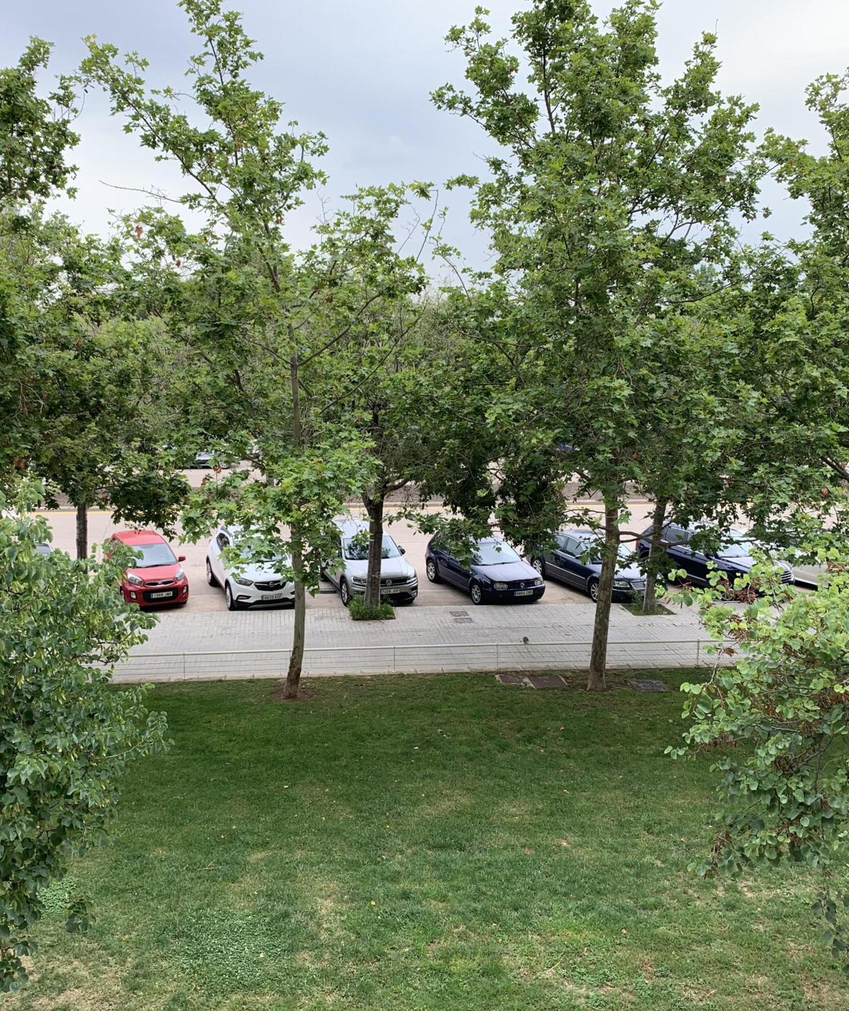 Art And Sciences View Luxury Apartment فالنسيا المظهر الخارجي الصورة